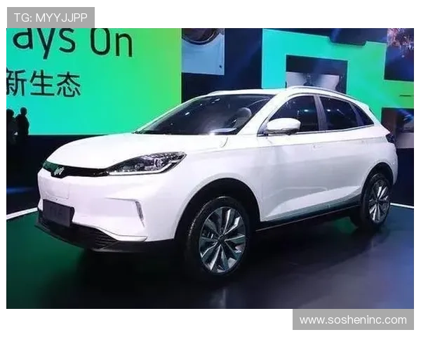 全面解析AG厅电投厅的操作流程与常见问题解决方案