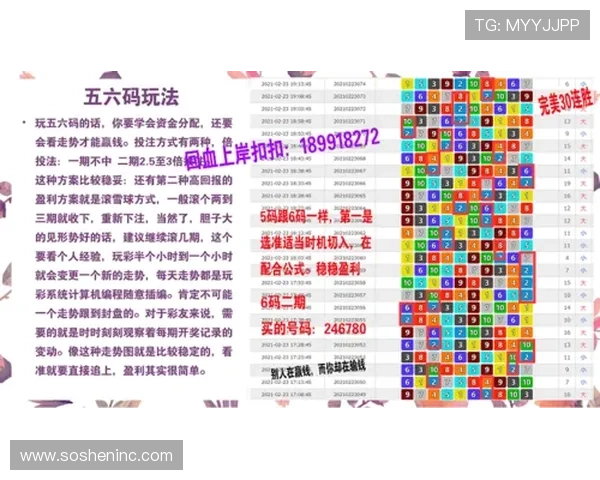 全面揭秘真人国际攻略的实战经验分享，助你快速提升游戏技巧与战斗胜率